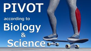 BSピボットとは？回り方の仕組みと失敗しやすいポイントを科学的に解説