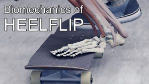 Why You Can’t Land a Heelflip — Flick Path, Pop & Biomechanics Explained