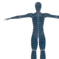 Body & Brain Mechanics